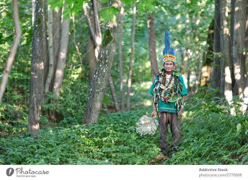 Man in authentic costume in woods Authentic Tropical Costume national Tradition Posture Multicoloured Forest Summer Virgin forest Magic Culture Bright Clothing