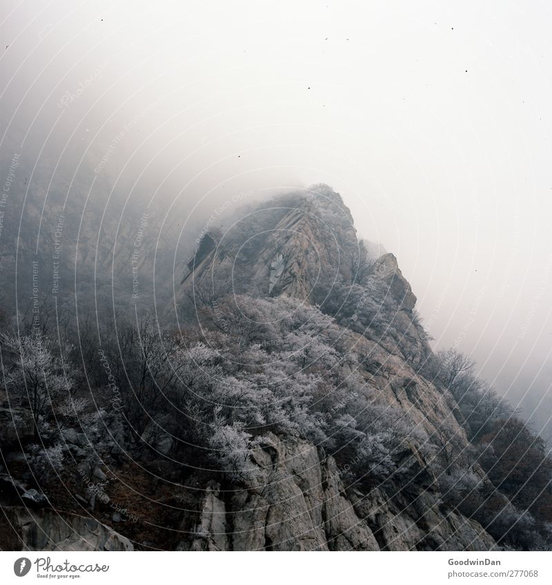 Into the wilderness. Environment Nature Climate Climate change Weather Mountain Peak Gigantic Large Infinity Cold Beautiful Moody Colour photo Exterior shot