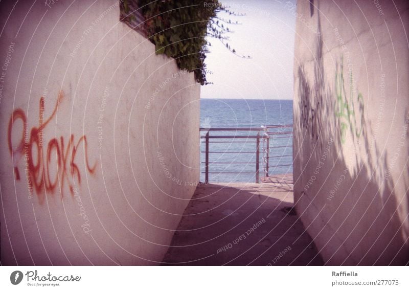 Benicàssim, the first view of the beach Nature Elements Air Water Sky Cloudless sky Summer Beautiful weather Plant Bushes Ivy Creeper Waves Coast Ocean