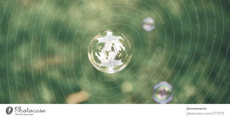 soap bubbles Nature Spring Summer Grass Soap bubble Sphere Breathe To enjoy Playing Esthetic Soft Green Colour photo Exterior shot Deserted Copy Space left