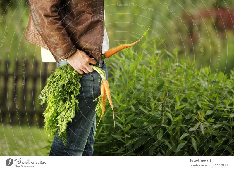 carrot Joy Flirt Human being Masculine Man Adults 1 18 - 30 years Youth (Young adults) 30 - 45 years Eroticism Funny Crazy Love Desire Lust Tolerant