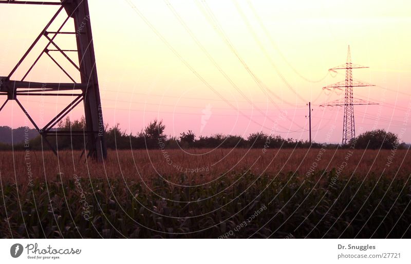 Pink electricity Electricity Electricity pylon Sunset Rhine plain Wörth am Rhein Rhineland-Palatinate Electrical equipment Summer Sky Maximilian sow Hagenbach