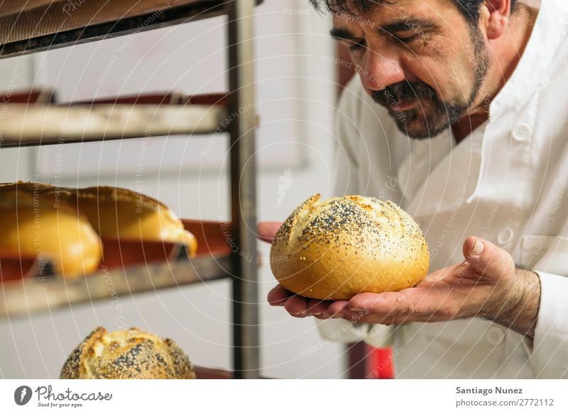 Baker kneading dough in a bakery. Bakery Business staff catering Dough Kitchen Cooking Stand chef Man Food Profession occupation preparing Make Industrial