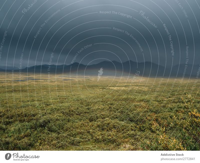 Green prairie in mountains Mountain terrain Grassland Nature Landscape Relaxation Natural Wilderness Dune Lanes & trails Remote tranquil Forest Adventure Valley