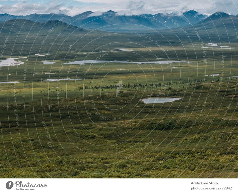 Green prairie in mountains Mountain terrain Grassland Nature Landscape Relaxation Natural Wilderness Dune Lanes & trails Remote tranquil Forest Adventure Valley