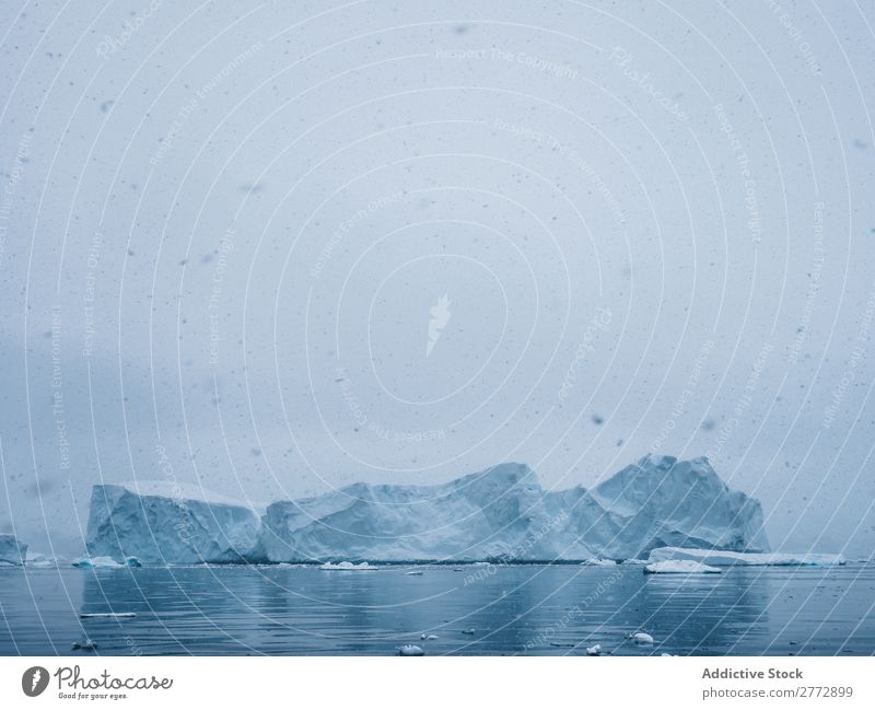 Wall of glacier in sea Glacier Wall (building) Ice Penguin Ocean Iceberg Landscape Dramatic Environment huge Beauty Photography Water polar North The Arctic