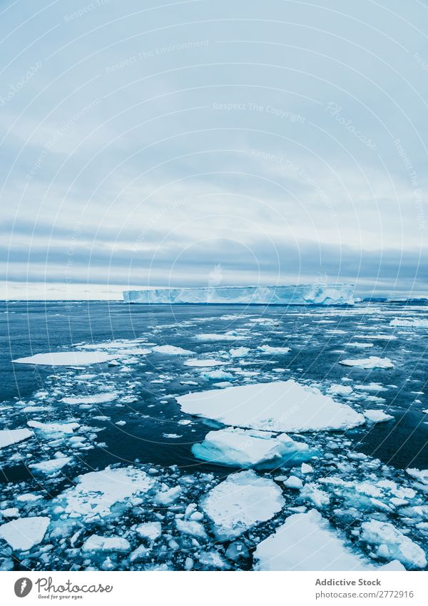 Cracks of ice floating in water Landscape Glacier Ice Ocean Iceberg pieces Dramatic Crack & Rip & Tear Environment Beauty Photography Water polar North