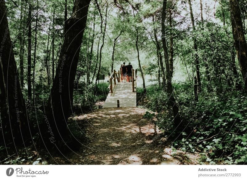 Bridge in forest Forest Human being Nature Landscape Green trekking Tree Walking Park tranquil Environment scenery Leaf Footbridge Wood Natural Corridor Scene