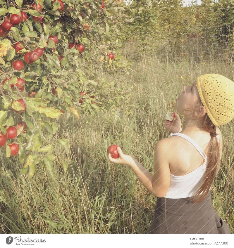 apple picker Feminine Child Girl Infancy Head Hair and hairstyles Face Ear Back Arm Hand 3 - 8 years Environment Nature Summer Beautiful weather Tree Grass