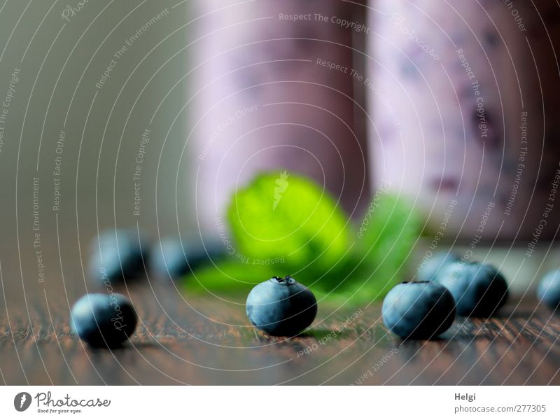 ripe blueberries and green leaves lie on a wooden table, in the background two glasses with blueberry smoothie Food Dairy Products Fruit Blueberry Mint leaf