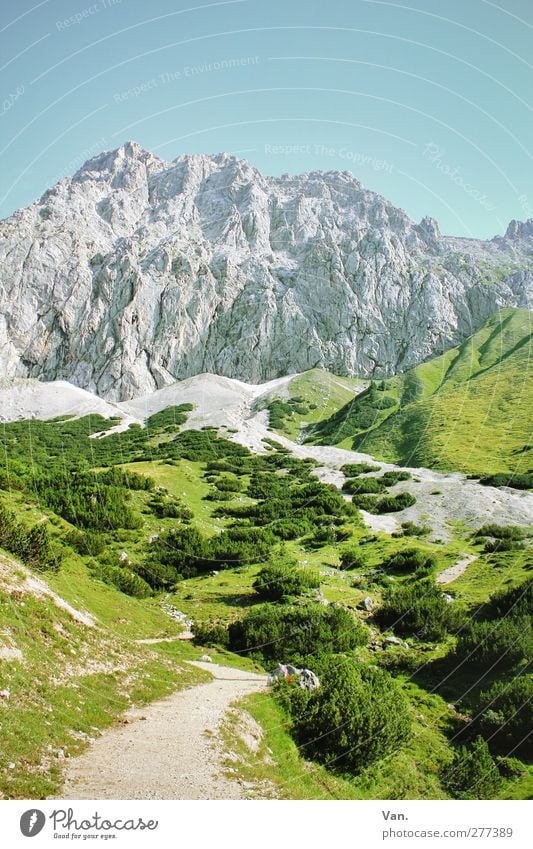 It's up! Vacation & Travel Trip Mountain Hiking Nature Landscape Plant Sky Cloudless sky Summer Beautiful weather Grass Bushes Alps Zugspitze Peak