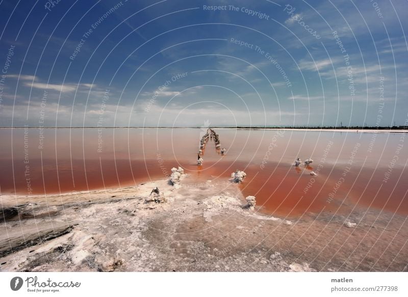 salt lake Landscape Water Sky Clouds Horizon Summer Beautiful weather Drought Coast Lakeside Blue Red White Salt Steppe Sparse crimpy Multicoloured