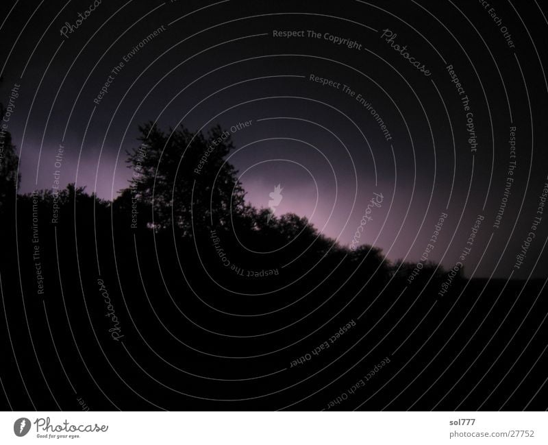 Tree lightning Lightning Back-light Silhouette Black Dark Night Long exposure Thunder and lightning sinister