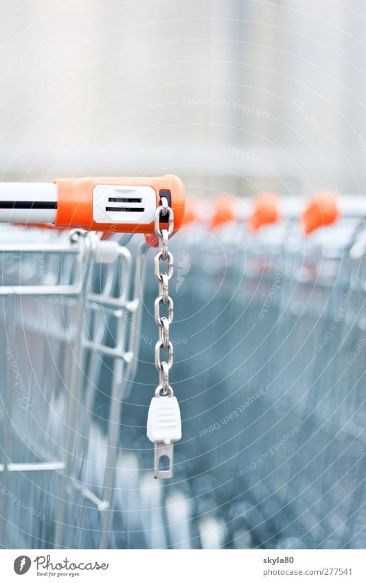 shopping spree Shopping Trolley Deposit Wire basket Supermarket Store premises Metal Metalware Plastic Consumption deal weigh Shopping basket Shopping center