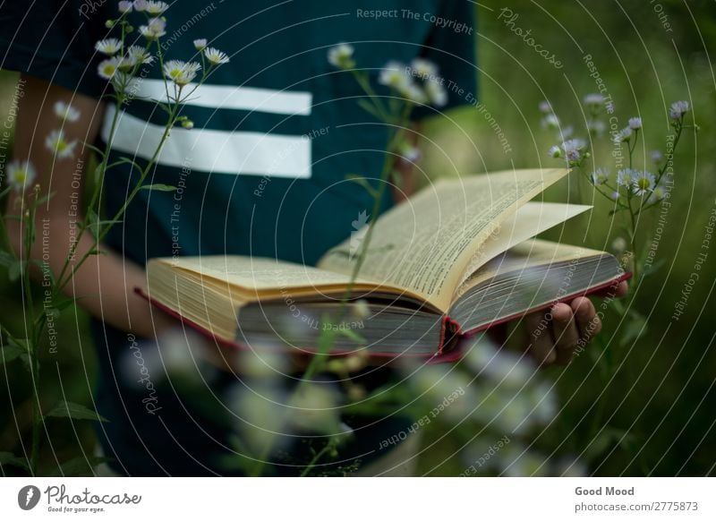 teenager is holding a book in his hands in nature Lifestyle Beautiful Relaxation Leisure and hobbies Reading Vacation & Travel Summer Hiking Garden School