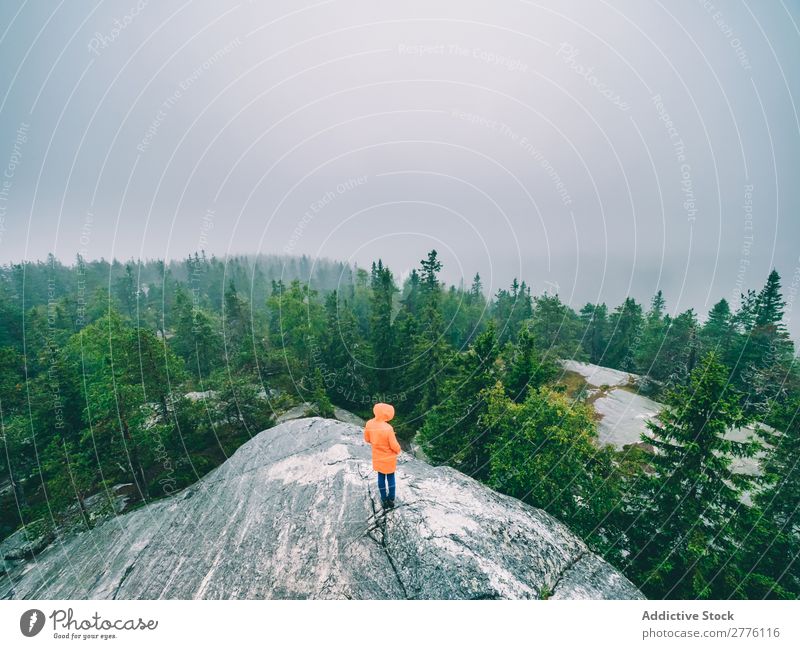 Tourist on rock exploring views of woods Human being traveler Nature Fog Forest Wilderness Mysterious Evergreen tranquil Rock exploration Tourism Idyll