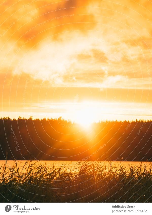 Landscape of a sunset in the sea Lake Sunset Traveling Adventure Forest Colour Lakeside Vantage point Tourism Seasons Wilderness Trip Action Light exploration