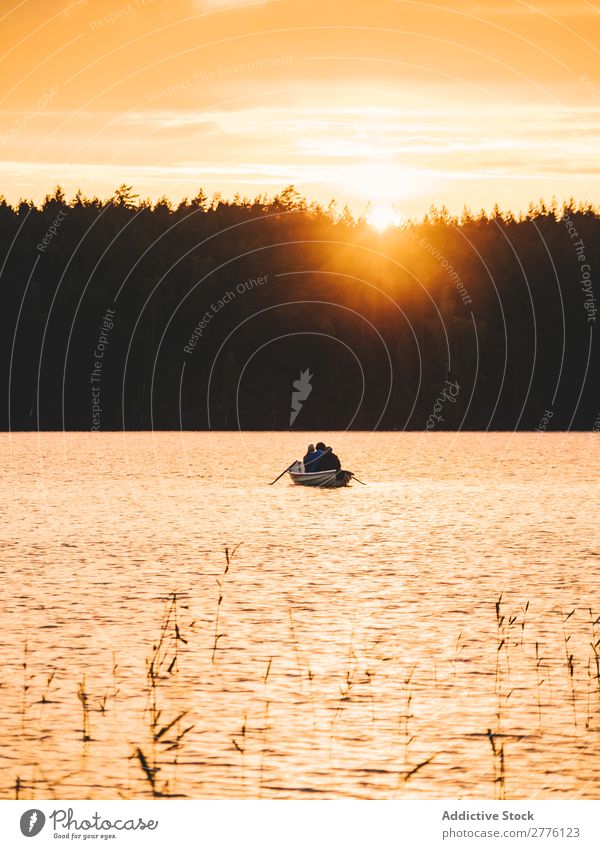 Boat floating on lake in sunset Landscape Watercraft Lake Sunset Traveling Adventure Sailing Forest Colour Lakeside Vantage point Tourism Seasons Wilderness