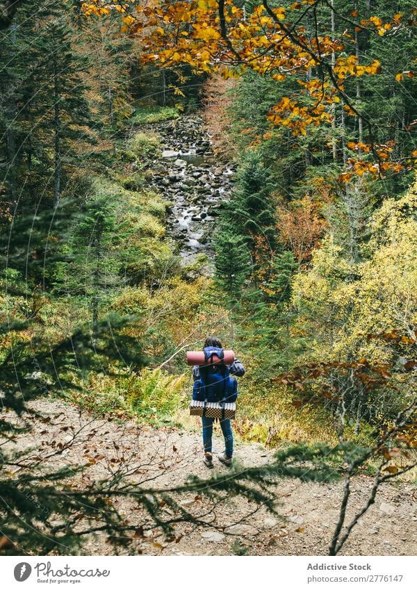 Backpacker in autumnal woods Human being traveler Forest Autumn backpacker Backpacking Sightseeing Landscape Vantage point Autumnal Harmonious Adventure Tourism