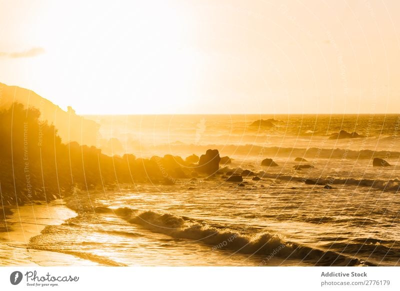 Tide in bright sunlight Landscape Morning Paradise Panorama (Format) Sunrise Coast Dramatic Nature Relaxation Tourism Ocean Vacation & Travel Exotic Summer