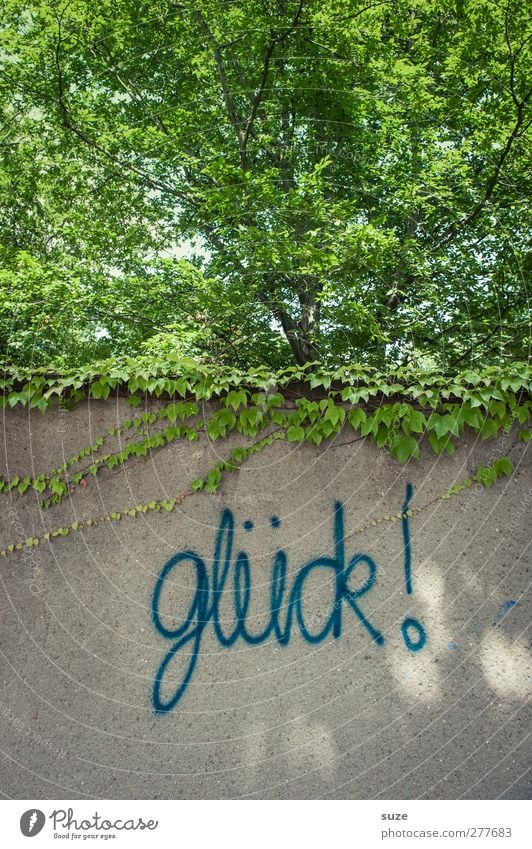 canned happiness Happy Summer Environment Nature Tree Wall (barrier) Wall (building) Facade Characters Graffiti Growth Gray Green Typography Text Street art