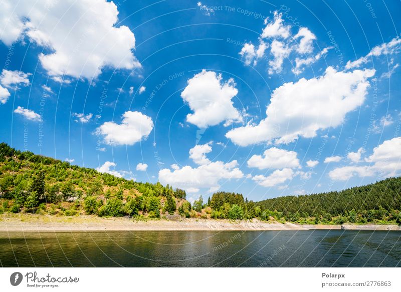 Green trees around a lake in the summer Beautiful Vacation & Travel Tourism Summer Sun Environment Nature Landscape Plant Sky Clouds Tree Grass Park Meadow