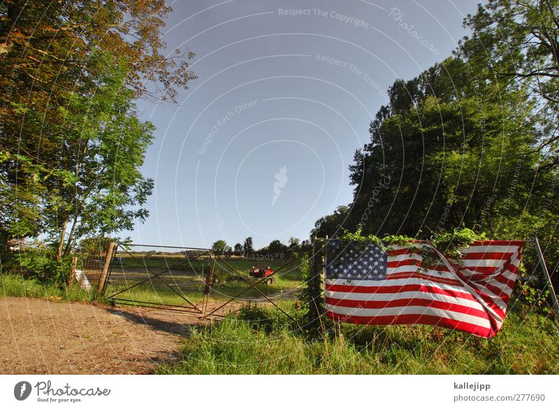 the wild, wild brandenburg Lifestyle Environment Sky Cloudless sky Climate Plant Meadow Field Forest Green Americas USA Flag Fence Gate Highway ramp (entrance)