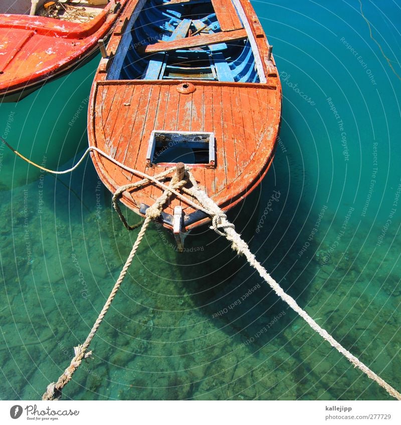 gull's perspective Harbour Navigation Boating trip Motorboat Dinghy Rowboat Rope On board Swimming & Bathing Water wooden boat Adriatic Sea Turquoise