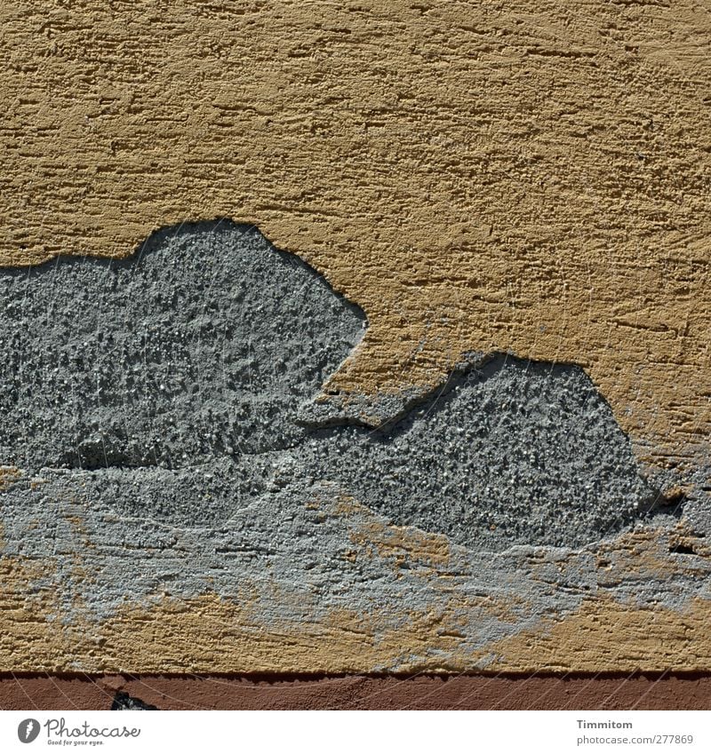 Hagnauer house wall Living or residing House (Residential Structure) Wall (barrier) Wall (building) Concrete Brown Gray Plaster Damage shape Animal Colour photo