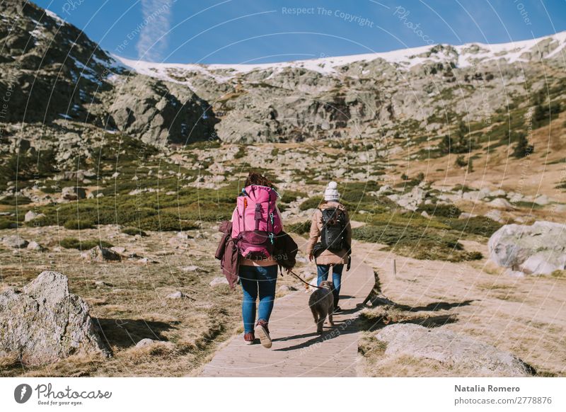 Two womans accompanied by their dogs walk along in the meadow Beautiful Life Leisure and hobbies Trip Adventure Freedom Mountain Hiking Human being Feminine