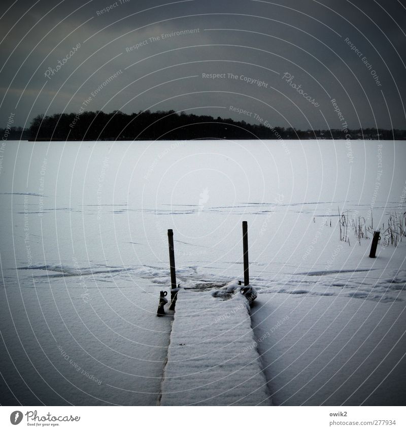 terminal Environment Nature Landscape Sky Clouds Horizon Winter Climate Weather Beautiful weather Ice Frost Snow Forest Pond Lake Dark Blue Calm Purity Humble