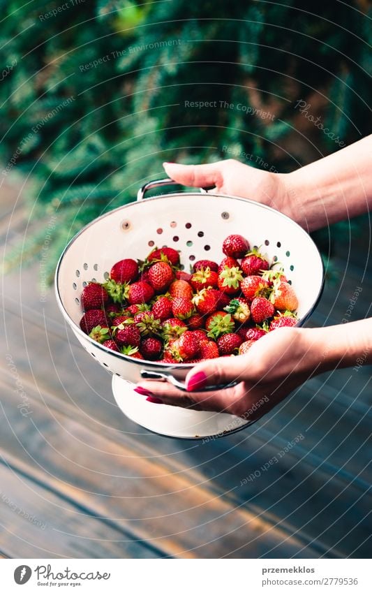 bowl of fresh strawberries sprinkled raindrops over wooden table Fruit Vegetarian diet Bowl Summer Table Woman Adults Hand Nature Wood Fresh Delicious Natural