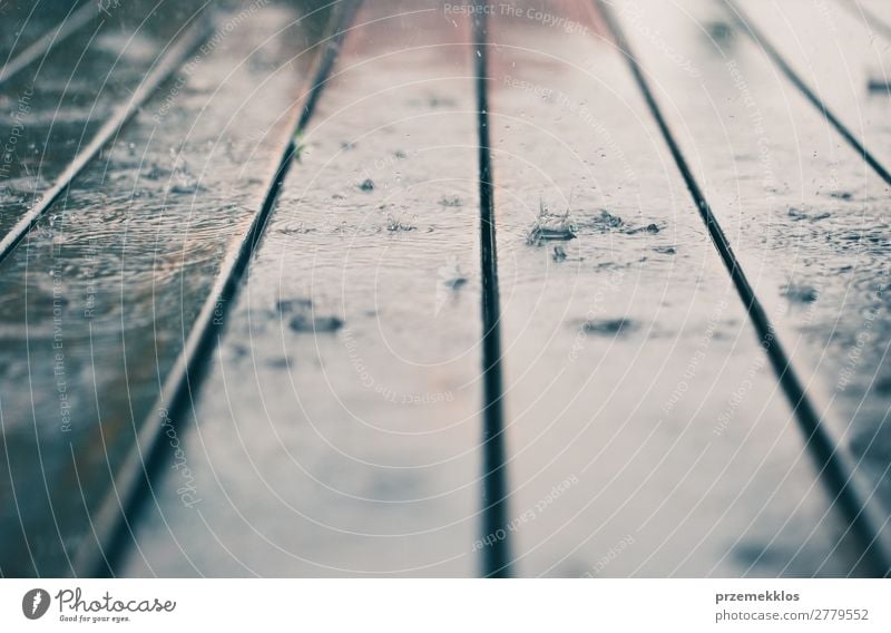 Closeup of wood planks while raining in perspective. Summer Weather Rain Wood Line Drop Wet Perspective backdrop background board Plank Veranda raindrop Seasons