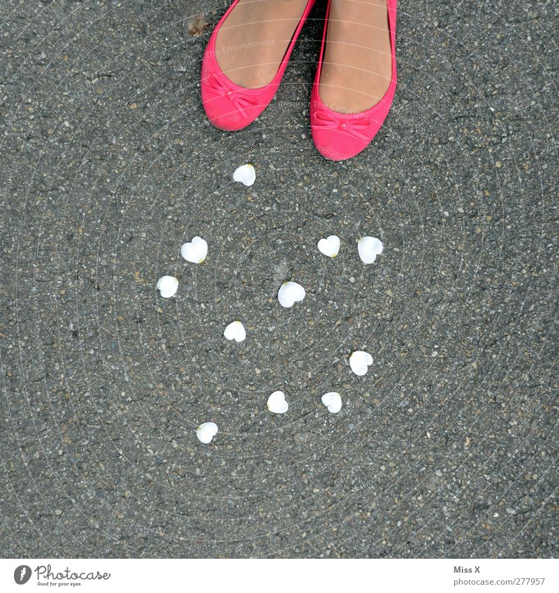 queen of hearts Human being Feminine Feet 1 Blossom Pink Emotions Love Infatuation Rose leaves Colour photo Multicoloured Exterior shot Copy Space right