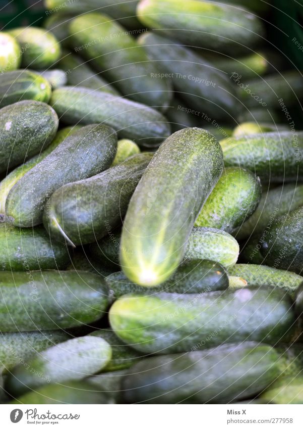 cucumber Food Vegetable Nutrition Organic produce Vegetarian diet Sour Green Gherkin Cucumber Greengrocer Vegetable market Colour photo Close-up Deserted