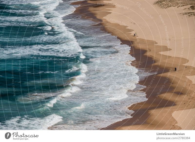 Breakers Nature Landscape Elements Sand Water Summer Waves Coast Beach Ocean Tasman sea Pacific Ocean Blue Brown Turquoise White Dangerous Wet Foam Colour photo