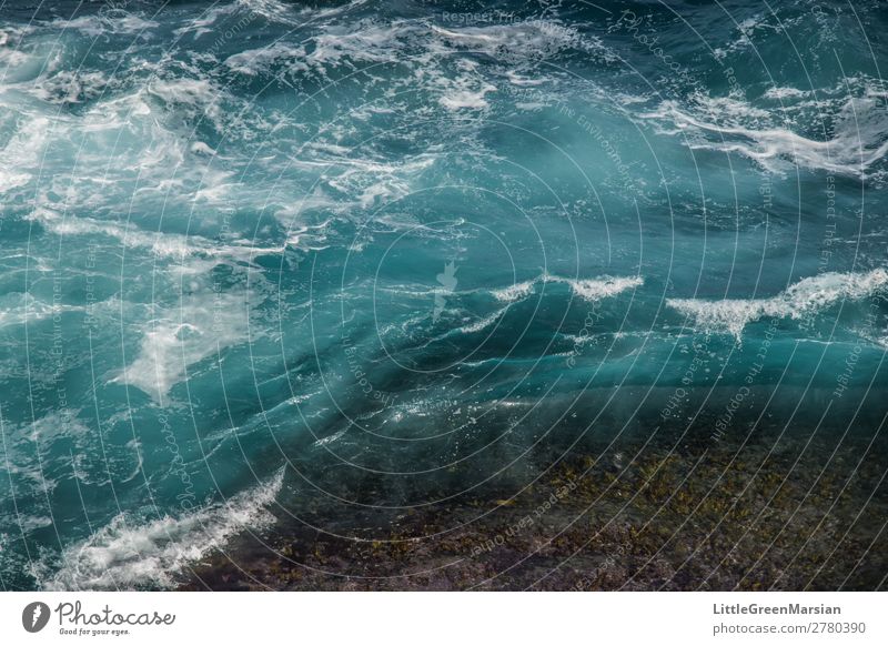 In motion Nature Elements Water Summer Waves Coast Beach Ocean Pacific Ocean Tasman sea Stone Movement Wet Natural Blue Turquoise White Chaos