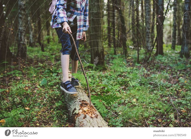 happy kid girl exploring summer forest Lifestyle Happy Playing Vacation & Travel Adventure Freedom Expedition Summer Hiking Child Infancy Nature Plant Fog Tree