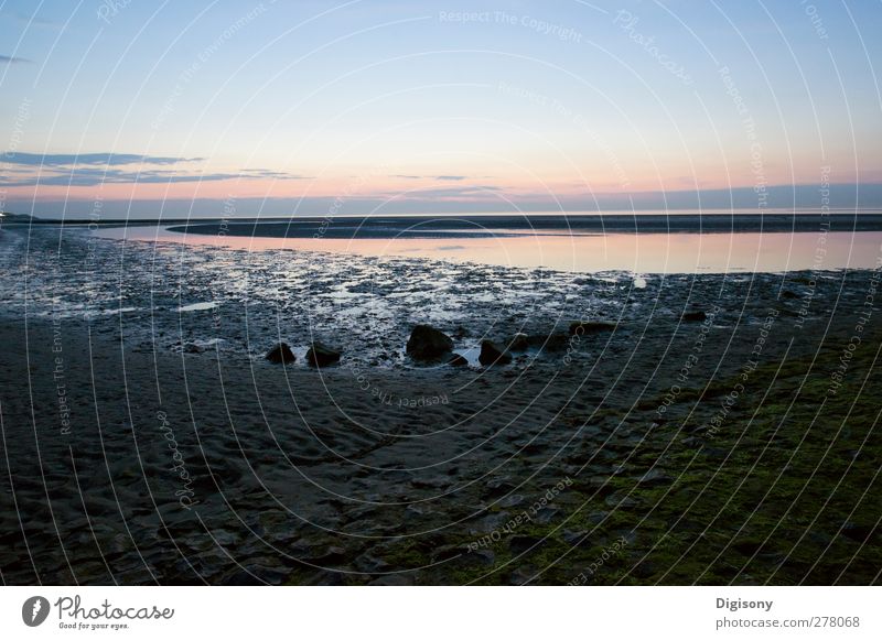 evening beach Summer Beach Ocean Landscape Sand Water Horizon Beautiful weather North Sea Moody Warm-heartedness Loneliness Colour photo Exterior shot Deserted