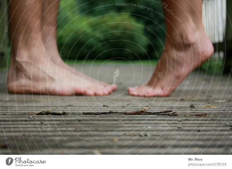 blurred Couple Partner Skin Legs Feet 2 Human being 18 - 30 years Youth (Young adults) Adults Environment Summer Park Touch Kissing Stand Trust Sympathy