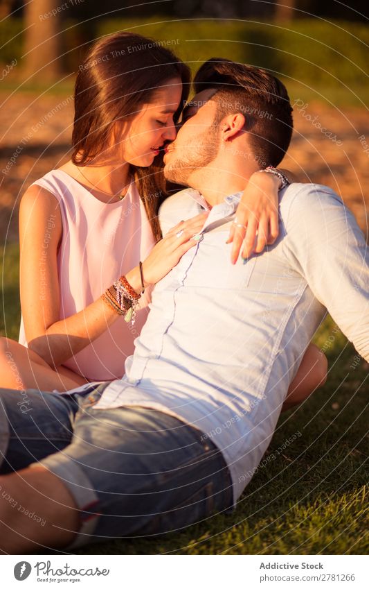 Kissing couple on lawn Couple Portrait photograph Sunlight Evening Park tender Love Beard Sit Embrace Bright Grass Lawn Affection Vertical Sunset Face to face