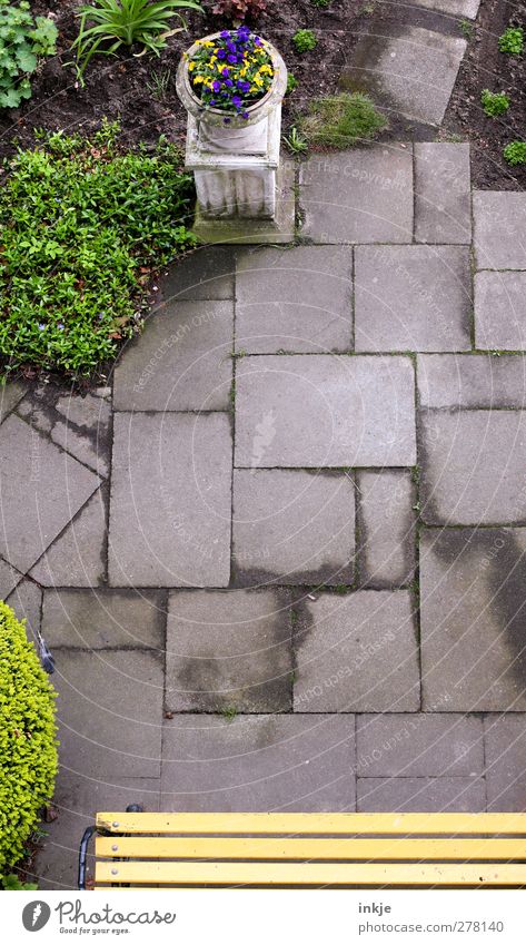 garden idyll Summer Bushes Garden Park Deserted Places Terrace Lanes & trails Road junction Paving tiles Concrete slab Garden path Bench Wooden bench