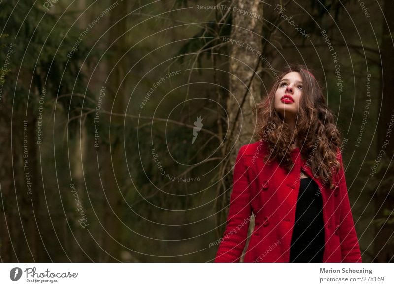 Little Red Riding Hood alone in the forest Feminine Young woman Youth (Young adults) 1 Human being Forest Coat Brunette Curl Observe Looking Loneliness Timidity