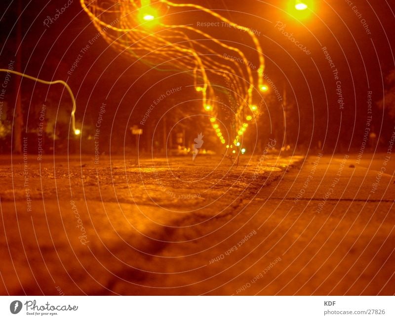 lonely plant Railroad tracks Lantern Lightning Physics Loneliness Plantlet Cobblestones Night Long exposure Dark Street Warmth Orange Sidewalk Tree