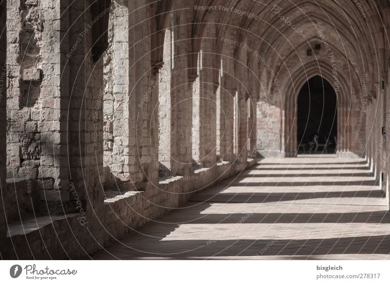 Monastery I Chorin Germany Europe Deserted Church Chorin cloister Stone Old Brown Calm Religion and faith Colour photo Exterior shot Day Light Shadow