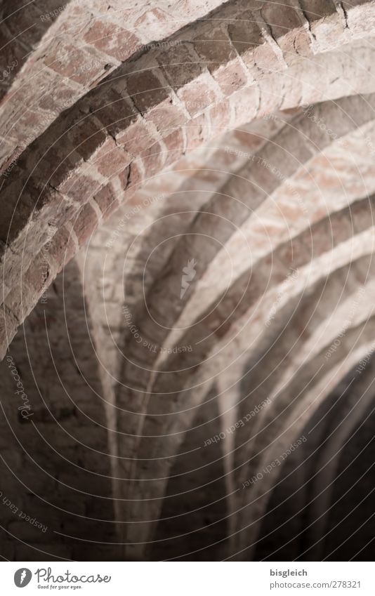 Monastery IV Chorin Federal eagle Europe Small Town Church Arcade Ceiling Column Chorin cloister Old Brown Calm Colour photo Subdued colour Interior shot