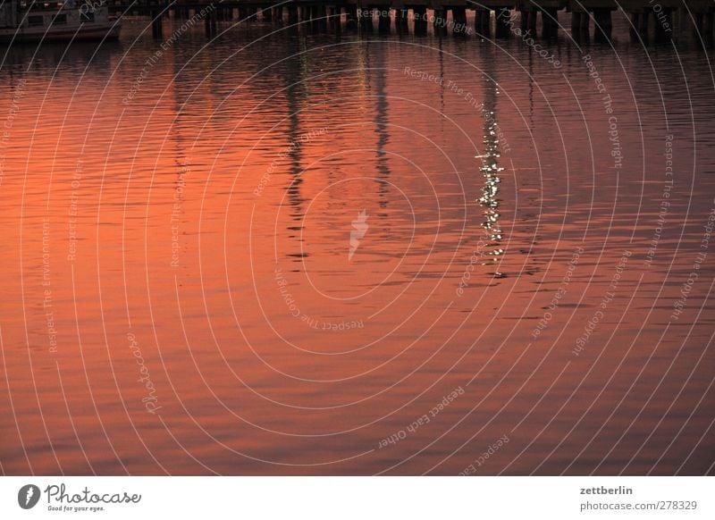 Spree Environment Water Climate Climate change Weather Beautiful weather Waves Coast River bank Town Skyline Good Reflection Dusk Jetty Colour photo