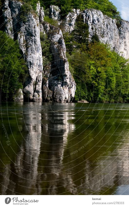 Danube idyll Environment Nature Landscape Plant Elements Water Summer Beautiful weather Bushes Rock River bank Wet Overgrown Surface of water Colour photo