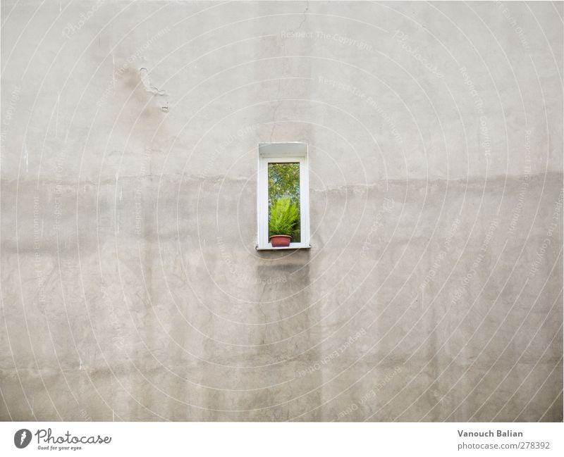 Window Wall Deserted House (Residential Structure) Wall (building) Sadness Reluctance Longing Homesickness Wanderlust Disappointment Loneliness Exhaustion Shame