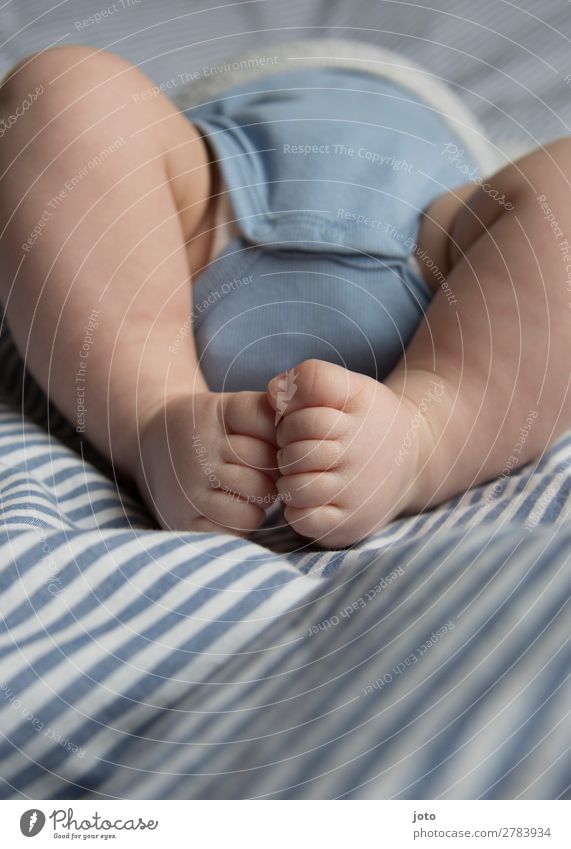 palpation Happy Personal hygiene Skin Contentment Calm Baby Boy (child) Infancy Legs Feet 0 - 12 months Touch Lie Sleep Dream Growth Naked Natural Cute Blue